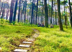 Ngỡ ngàng A Lưới
