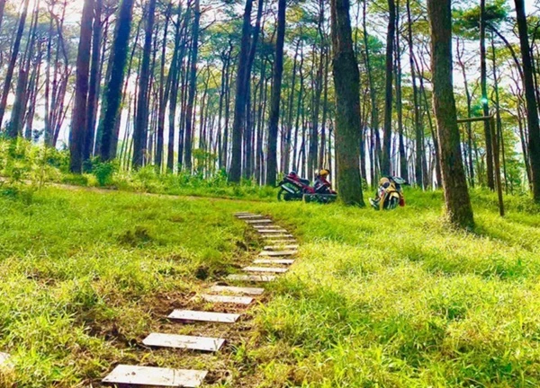 Ngỡ ngàng A Lưới