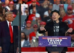 Phản ứng của giới tỷ phú, chính trị gia về mâu thuẫn giữa Tổng thống Trump và Elon Musk