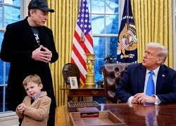 Sáu ngày căng thẳng khiến liên minh Tổng thống Trump Elon Musk sụp đổ