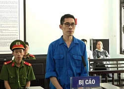 Tổng Giám đốc công ty đấu giá chiếm đoạt gần 9 tỷ đồng tiền đặt cọc lĩnh án