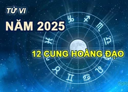 Tử vi 12 cung hoàng đạo ngày 8/6: Bạch Dương nên mở rộng ngoại giao, Ma Kết hạn chế cho vay tiền bạc