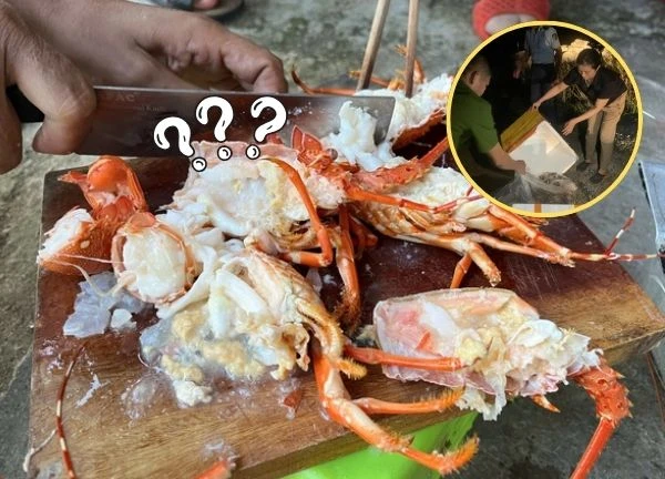 Vụ tôm hùm tăng ký bất thường dù đã ngủm: bắt tận tay người bán phù phép 1 thứ