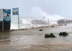 Ảnh hưởng bão số 1, hơn 100 khách du lịch kẹt trên đảo Lý Sơn