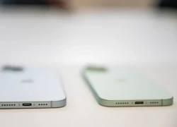 Apple có thể hồi sinh phiên bản iPhone mini