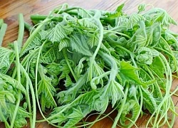 Cách chế biến loại rau bổ ngang thịt, ăn thường xuyên giúp sáng mắt, đẹp da