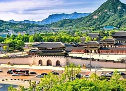 Du lịch Hàn Quốc mùa hoa cẩm tú cầu với trải nghiệm mới K-hiking