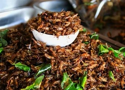 Gần 1 triệu đồng/kg đặc sản "oan gia nhà nông", ở quê có đầy mà ít ai hay