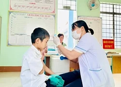 Gia Lai ghi nhận thêm 1 ca tử vong do bệnh dại