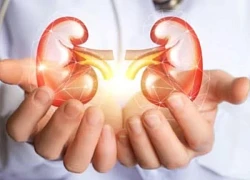 Giải pháp giữ cho thận khỏe mạnh
