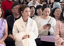 Hà Siêu Liên và nét tướng "con nhà giàu bẩm sinh" trên gương mặt: Bảo sao cả đời sống trong nhung lụa, vượng tài phát lộc từ trứng nước