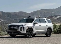 Hyundai bị kiện tại Mỹ do lỗi phanh trên mẫu Palisade