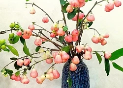 Mê mẩn những cành quả cắm bình độc đáo của cô giáo Phú Thọ