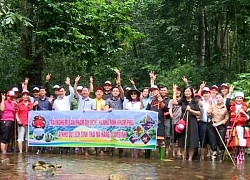 Nhiều trải nghiệm hấp dẫn tại Khu du lịch sinh thái Na Hang - Lâm Bình