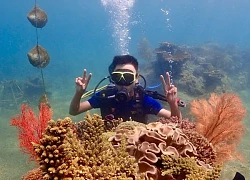 Phiên chợ ngọc trai dưới nước đầu tiên trên thế giới