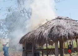 Quang Linh Farm bị cháy