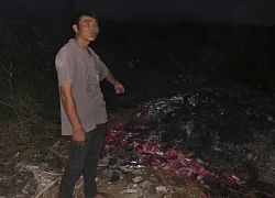 Hai công ty dược liên quan hàng nghìn thực phẩm chức năng bị đổ ở TPHCM