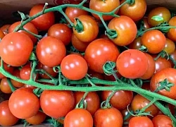7 loại trái cây và rau củ mùa hè tốt cho sức khỏe tim mạch