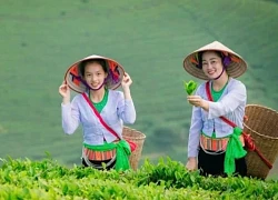 Bồng bềnh 'tiên cảnh Long Cốc'