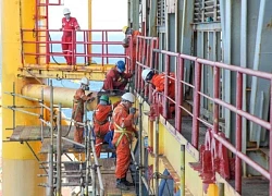 Brazil đấu giá quyền khai thác dầu mỏ vài tháng trước khi tổ chức COP30