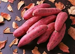 Bụng đói có nên ăn khoai lang?