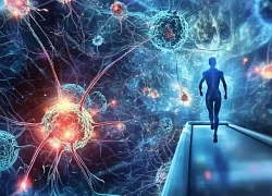 Chạy bộ giúp kích hoạt gene chống Alzheimer
