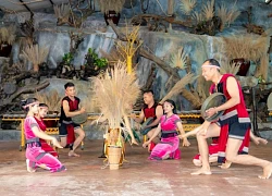 Công viên Du lịch Yang Bay: Điểm đến trải nghiệm thú vị cho học sinh