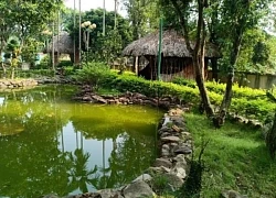 Đây là lý do trước nhà không nên có ao nước