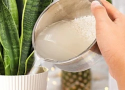 Đây mới là "đỉnh cao tối giản": Người phụ nữ 57 tuổi khiến cả mạng xã hội ngả mũ