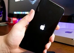 Điều gì xảy ra với iPhone nếu logo Apple luôn nhấp nháy