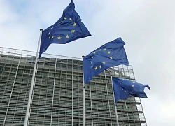 EU có thể ứng phó thế nào khi các công ty chuyển sản xuất đi nơi khác?