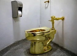 Hai tên trộm lãnh án, bồn cầu vàng vẫn chưa rõ tung tích