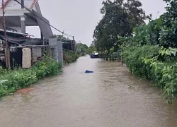 Huế: Bắt cá sau mưa, hai anh em tử vong