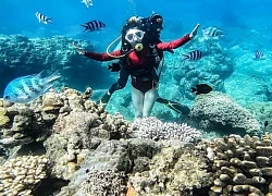 Khách tham quan vịnh Nha Trang đóng phí tối đa 40.000/người