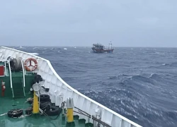 Khẩn trương ứng cứu tàu cá bị nạn trên biển do ảnh hưởng của bão số 1