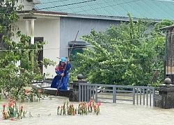 Miền Trung và Tây Nguyên thiệt hại nặng nề do hoàn lưu bão số 1