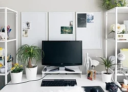 Những vật phẩm phong thủy người mệnh Hỏa không nên đặt trên bàn làm việc