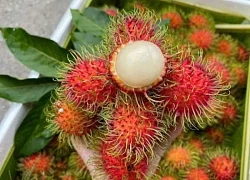 Quả chôm chôm chính vụ giá siêu rẻ chỉ từ 30k/kg, bất ngờ với 3 món ngon chế biến hấp dẫn ngày hè