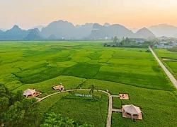 Quảng Bình: Độc đáo trải nghiệm du lịch giữa hương lúa đồng quê