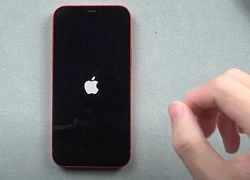 iPhone bỗng dưng "treo táo" và chớp nháy liên tục? Đây là cách "cấp cứu" tại nhà