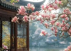 Tháng sinh Âm lịch của những người chăm chỉ, nỗ lực