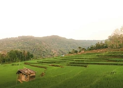 Việt Nam có 3 điểm đến lý tưởng 'du lịch chậm'