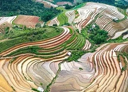 Đến Mù Cang Chải ngắm bức bích họa những thửa ruộng bậc thang mùa nước đổ