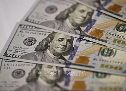 Đồng USD đang mất dần vị thế trong thương mại quốc tế