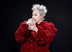 G-Dragon bị tấn công, không chỉ fan Việt mà fan quốc tế đều bất mãn cùng 1 lý do!
