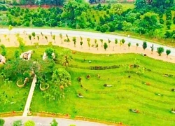 LAMORI vũ khúc hè sôi động
