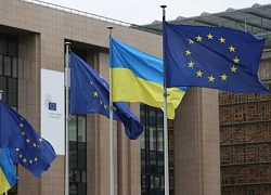 Lệnh trừng phạt Nga của EU tác động đến các doanh nghiệp ở Ukraine thế nào?