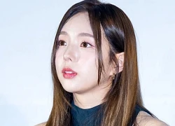 Mỹ nhân đi họp báo phim mới mà đẹp như nữ chính truyện tranh: Visual số 1 Hàn Quốc 2 năm liền không phải chuyện đùa