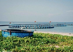 Nhịp sống thanh bình nơi làng chài Mỹ Hiệp ở Ninh Thuận