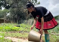 Sùng Bầu gặp vấn đề tâm lý, dừng kinh doanh